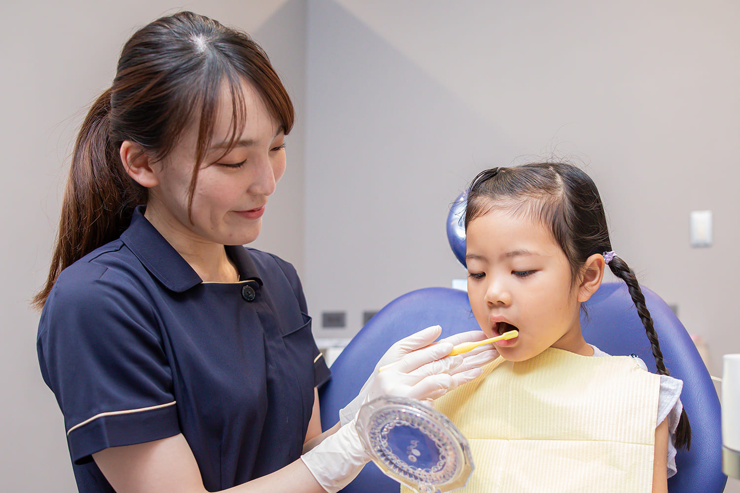 歯科の仕事について